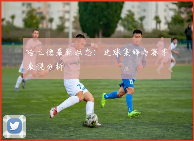 哈兰德最新动态：进球集锦与赛季表现分析
